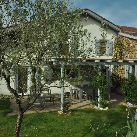 Ferme Elhorga Panzió Saint-Pée-sur-Nivelle Kültér fotó